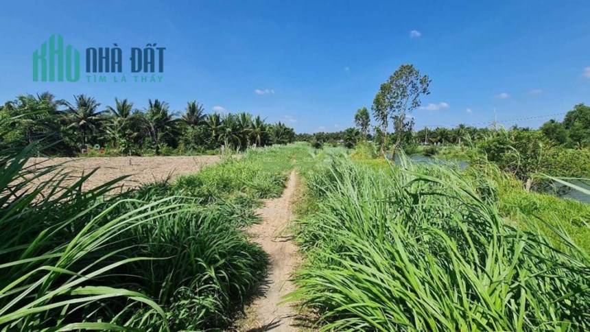 CHÍNH CHỦ CẦN BÁN 3 LÔ ĐẤT LIỀN KỀ VỊ TRÍ ĐẸP GIÁ SIÊU ĐẦU TƯ.