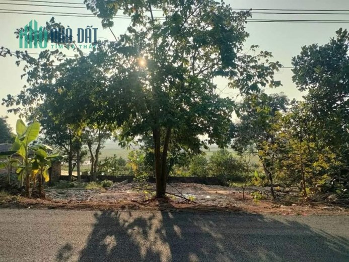 cần thanh khoản gấp lô đất mặt đường Phạm Văn Đồng, Cao Minh, Phúc Yên, Vĩnh Phúc