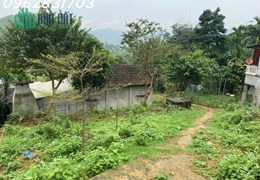 Bán lô đất 676m tại yên trung , cách trung tâm HN 35km