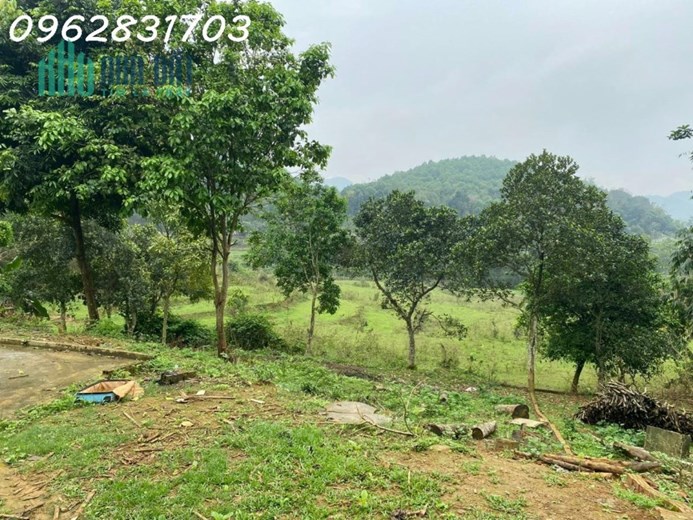Bán lô đất 676m tại yên trung , cách trung tâm HN 35km