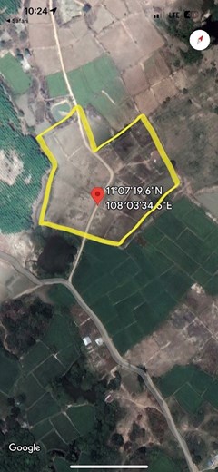 Bán 18.897m2 sào đất trồng cây tại Hàm phú -Hàm thuận Bắc-Bình Thuận.