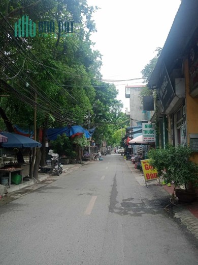 Siêu phẩm CCMN Đại Mỗ, Nam Từ Liêm, 240m2, MT11m, ô tô thông, 70PKK