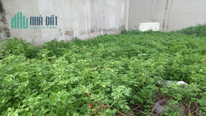 Bán đất MT T.Lộc PHƯỜNG thạnh lộc QUẬN 12, 100m2, khu kinh doanh, giá chỉ 5.1 tỷ