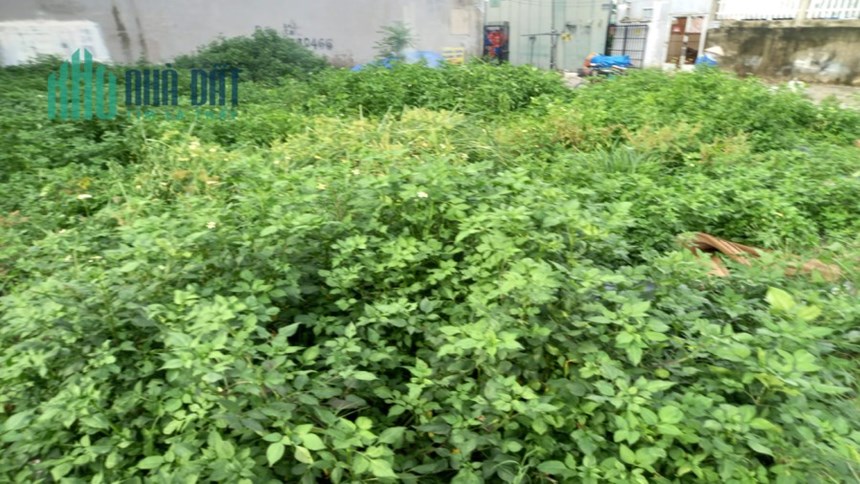 Bán đất MT T.Lộc PHƯỜNG thạnh lộc QUẬN 12, 100m2, khu kinh doanh, giá chỉ 5.1 tỷ