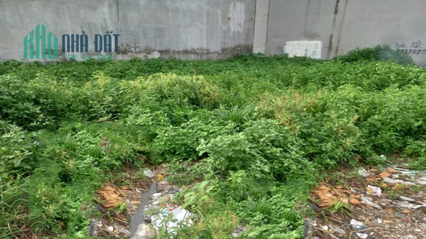 Bán đất MT T.Lộc PHƯỜNG thạnh lộc QUẬN 12, 100m2, khu kinh doanh, giá chỉ 5.1 tỷ