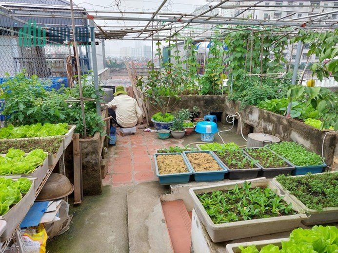 Bán nhà Liền Kề Xa La quận Hà Đông 85m2 nhà  4 tầng vỉa hè cự rộng giá bán 14 tỷ