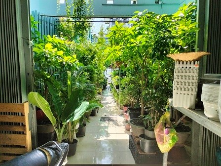 Sang nhượng lại vựa cây cảnh Phan Anh, Bình Trị Đông, 0931807401