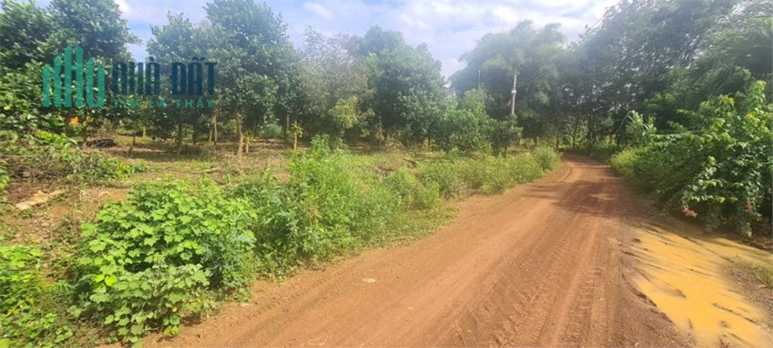 ĐẤT ĐẸP - GIÁ TỐT Chính Chủ Bán 1 ha Đất Tại Xã Đồng Tiến, Đồng Phú, Tỉnh Bình Phước