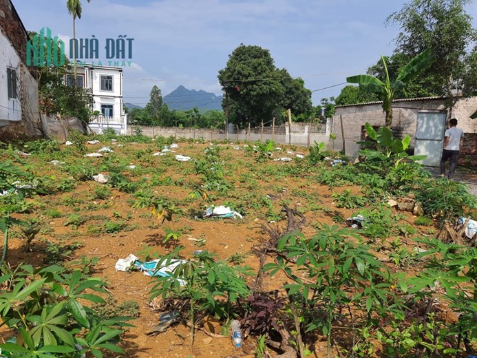 Cần Bán 449m Đất Thổ Cư Đường Ô Tô Vào Đất Ở Nam Phương Tiến Giá 1.4 Tỷ