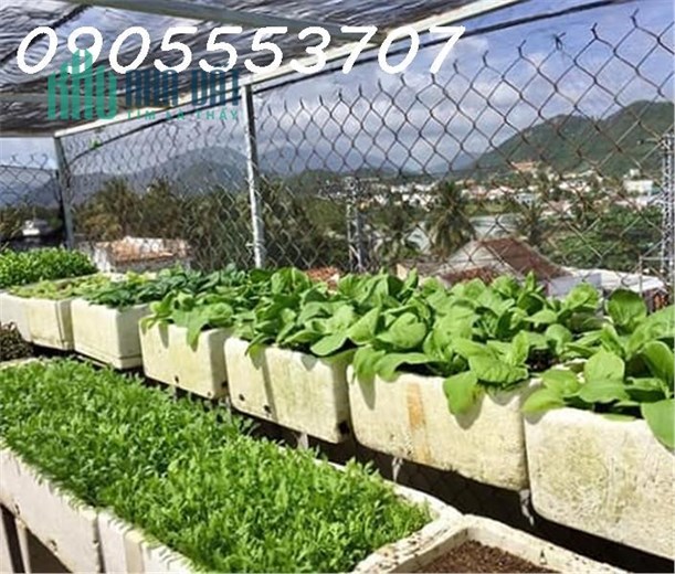 GIÁ CHỈ NHỈNH 1,5 TỶ - NHÀ 4 TẦNG SÁT ĐƯỜNG CHÍNH, CUỐI ĐƯỜNG TRẦN CAO VÂN, ĐÀ NẴNG