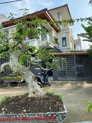 Ngộp Ngộp  biệt Thự Thạnh Xuân Quận 12, 130m2 Giảm chào 9.2 tỷ còn 8.5 tỷ thương lượng