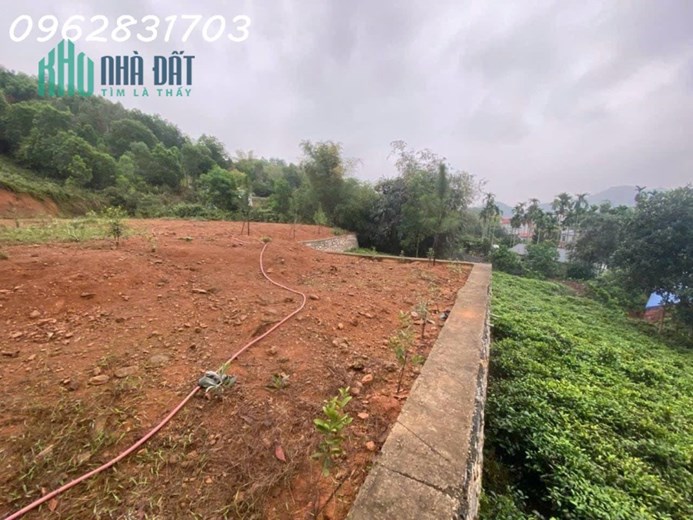 10.500m đất Yên Bình thạch thất giá chưa tới 1tr/m siêu rẻ