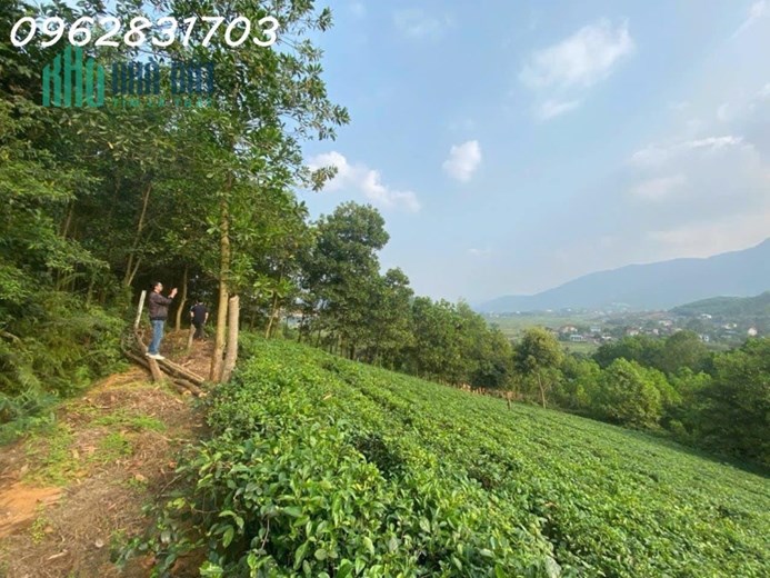10.500m đất Yên Bình thạch thất giá chưa tới 1tr/m siêu rẻ