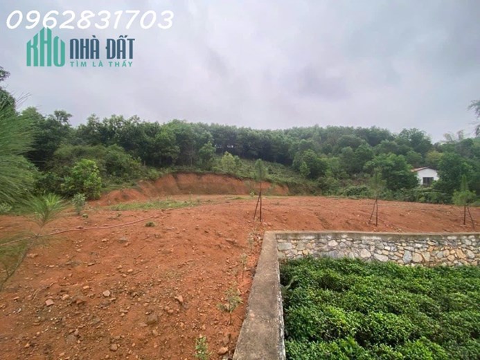 10.500m đất Yên Bình thạch thất giá chưa tới 1tr/m siêu rẻ