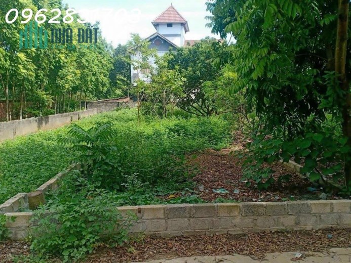 123m đất xây trọ trục chính loanh quanh giá 20tr/m