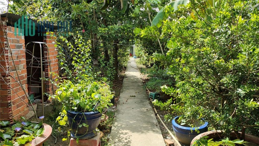 Đất mặt tiền kinh doanh tặng kèm khu vườn cây ăn trái tươi mát