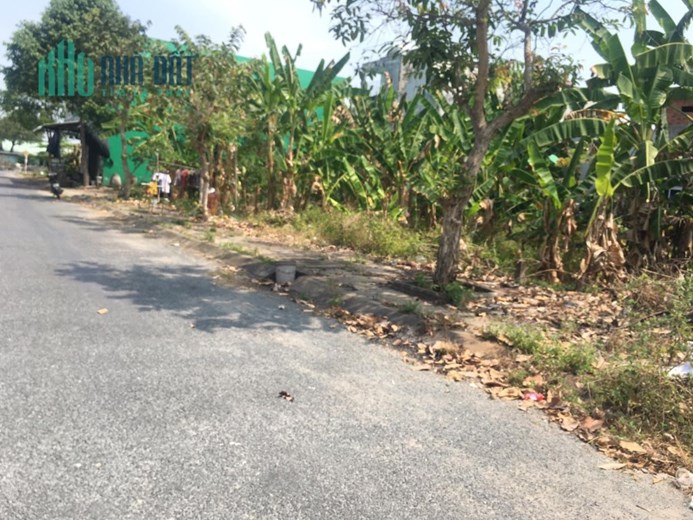 100m2 đất mặt tiền đường số 1, khu dân cư  huyện Tân Phước,Tiền Giang