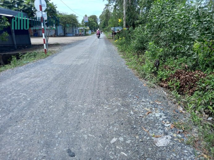 Bán 2,8hecta mặt tiền huyện lộ 40,Tân Hoà Đông,Tân Phước,Tiền Giang