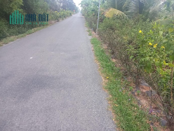 Bán 2,8hecta mặt tiền huyện lộ 40,Tân Hoà Đông,Tân Phước,Tiền Giang