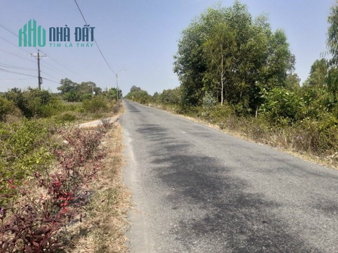 Bán 2,8hecta mặt tiền huyện lộ 40,Tân Hoà Đông,Tân Phước,Tiền Giang
