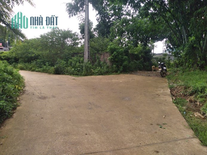 BÁN HẠ 1300m2 ĐẤT TẠI CHỜ LỒNG -TT NÔNG TRƯỜNG MỘC CHÂU