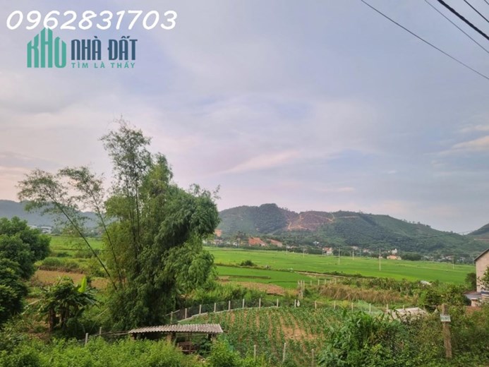 chủ cần tiền bán nhanh 1750m đất tiến xuân giá chỉ 5tr/m có thương lượng