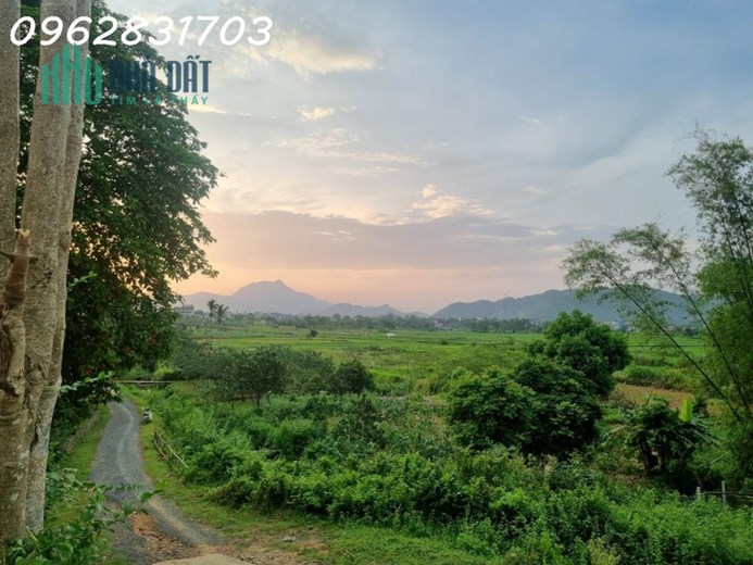 chủ cần tiền bán nhanh 1750m đất tiến xuân giá chỉ 5tr/m có thương lượng