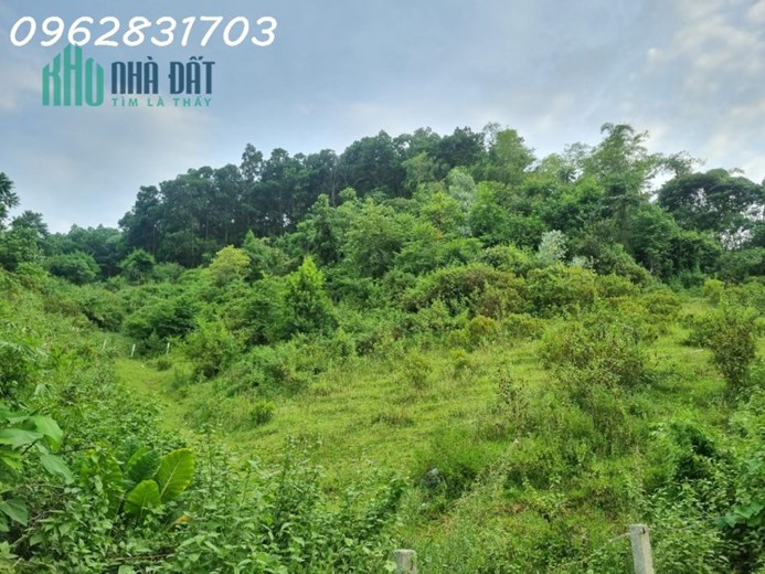 chủ cần tiền bán nhanh 1750m đất tiến xuân giá chỉ 5tr/m có thương lượng