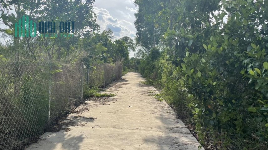 Sở Hữu Ngay 1600m2 Đất Chính Chủ  - Giá Tốt Tại Ấp Ruộng Tre, Xã Bảo Quang, TP Long Khánh - Đồng Nai
