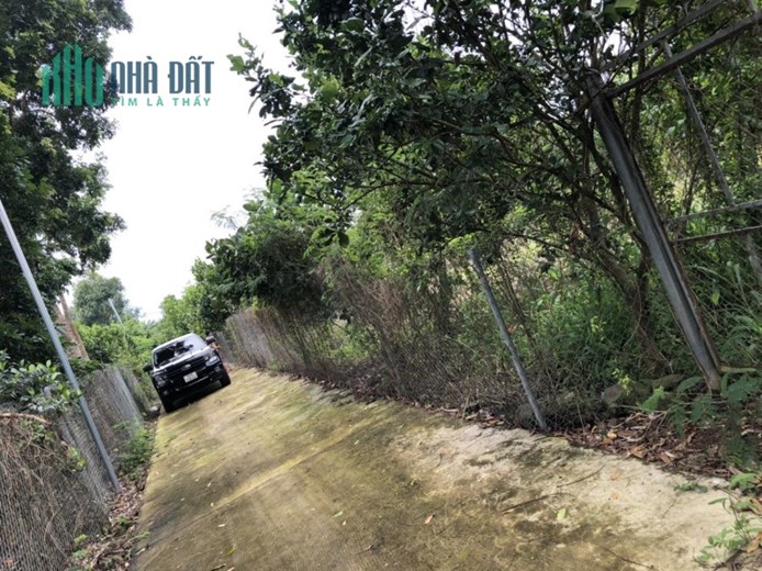 Sở Hữu Ngay 1600m2 Đất Chính Chủ  - Giá Tốt Tại Ấp Ruộng Tre, Xã Bảo Quang, TP Long Khánh - Đồng Nai