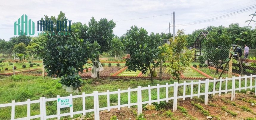 đất vườn nghĩ dưỡng hồ trị an - chốn về bình yên giá hấp dẫn
