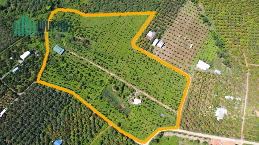 Bán đất vườn ngay hồ trị an, giá 1tr/m2