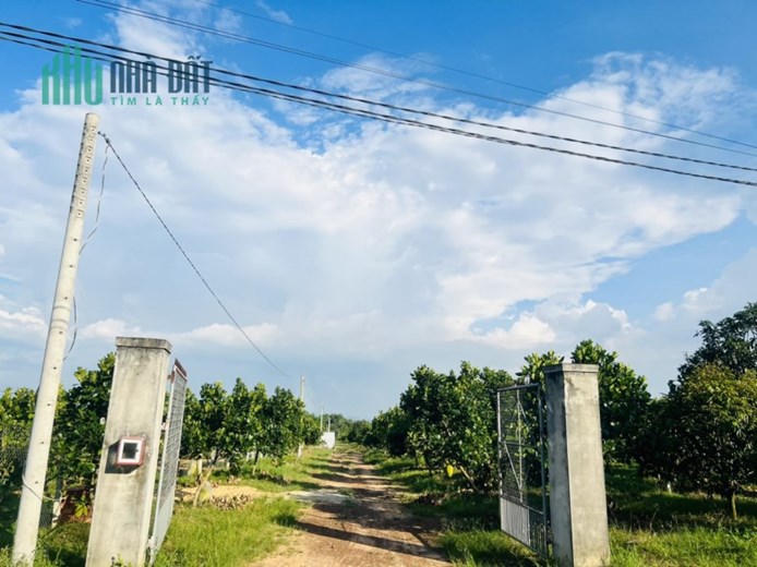 Bán đất vườn ngay hồ trị an, giá 1tr/m2