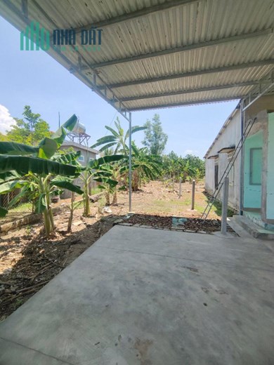 Bán đất thổ đường ô tô giá chỉ 660tr Diên Xuân Diên Khánh lh 0985451850 Xuân Xuyên
