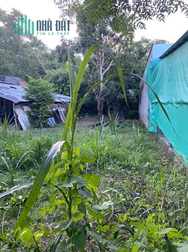 ĐẤT ĐẸP - GIÁ TỐT - Bán Nhanh Lô Đất Vị Trí Đắc Địa Tại Huyện Cầu Ngang - Trà Vinh