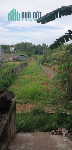 Bán Kho MT Tỉnh lộ 954 cách TX Tân Châu 3km