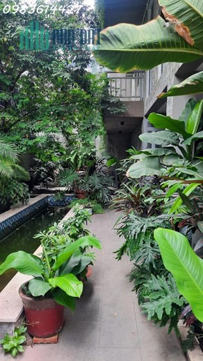BÁN BIỆT THỰ PHỐ, 12X15M2, THEO PHONG CÁCH CHÂU ÂU - THANG MÁY SỊN SÒ - THÔNG SỐ CỰC ĐẸP - VỊ TRÍ
