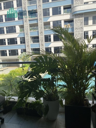 Cho Thuê Mặt Bằng 55m2, View Hồ Bơi D’ VERANO Thủ Thiêm, Trung Tâm Tp.Thủ Đức