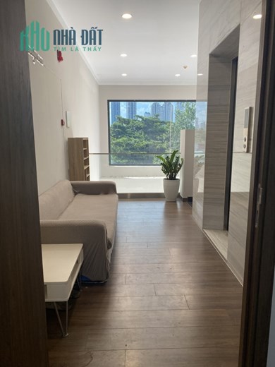 Cho Thuê Mặt Bằng 55m2, View Hồ Bơi D’ VERANO Thủ Thiêm, Trung Tâm Tp.Thủ Đức