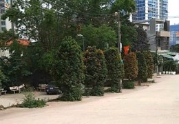 Bán nhanh 300m đất thổ cư thôn 2, xã Xuân Quan, Văn Giang, Hưng Yên.