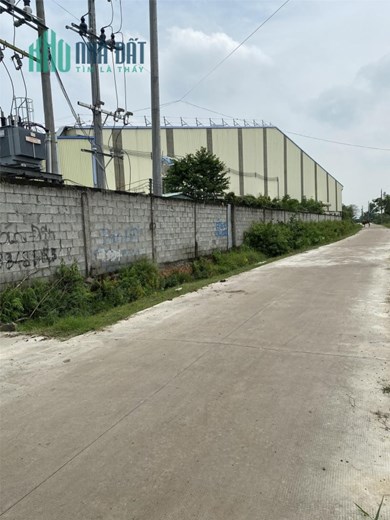 ĐẤT MẶT TIỀN - VỊ TRÍ ĐẸP Tại Ấp Hậu Hòa, Xã Đức Hòa Thượng, Huyện Đức Hòa - Long An