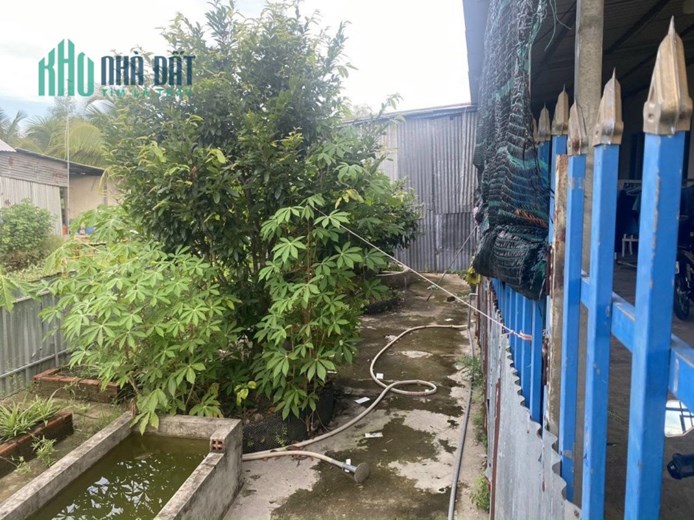 CHÍNH CHỦ Cần Bán Nhanh Lô Đất Vị Trí Tại Tân Phước - Tiền Giang