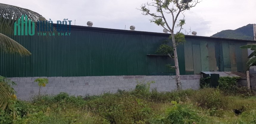 CHO THUÊ LÂU DÀI XƯỞNG SX HOẶC LÀM KHO ,CAO RÁO KO NGẬP LỤT