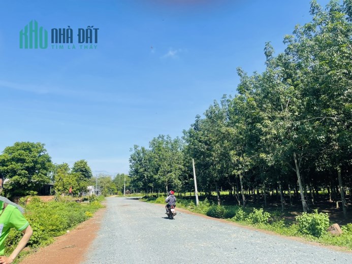 Ngân hàng Phát Mãi lô đất thổ cư 256m2 ở Hớn Quản sát bên KCN giá 208TR.