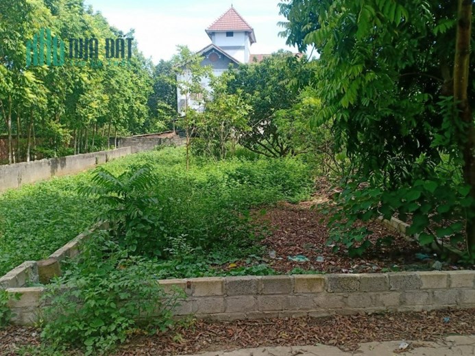 123M ĐẤT XÂY TRỌ THÔN 7 TÂN XÃ - SÁT KHU ĐÔ THỊ VỆ TINH HÒA LAC - DI CHUYỂN RA TRƯỜNG ĐẠI HOC FPT