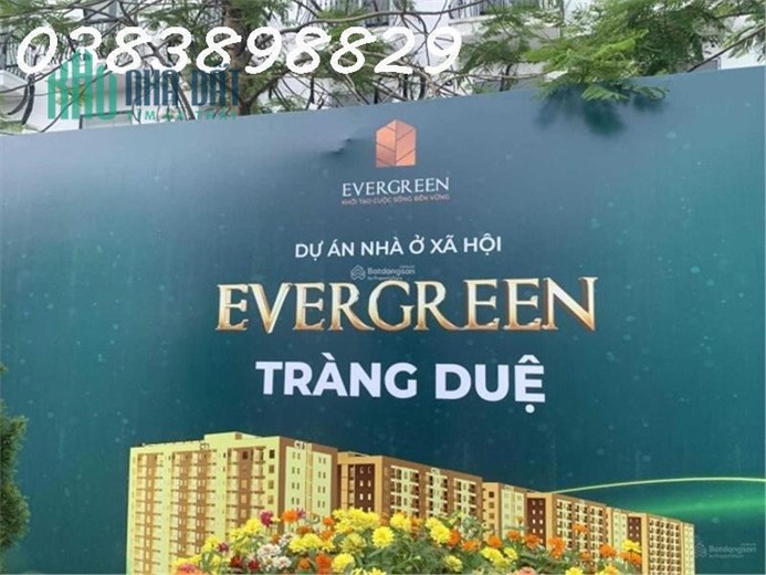 Bán nhà ở xã hội EverGreen Tràng Duệ, An Dương, Hải Phòng - Studio