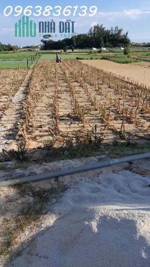 Bán thửa đất quy hoạch đất ở. Mặt đường 12m, trục chính đảo Lý Sơn, Quảng Ngãi