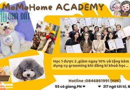 Momo home ACADEMY, Học 1 được 2, giảm ngay 10% và tặng kèm bộ dụng cụ grooming khi đăng ký khoá học