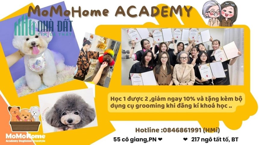 Momo home ACADEMY, Học 1 được 2, giảm ngay 10% và tặng kèm bộ dụng cụ grooming khi đăng ký khoá học