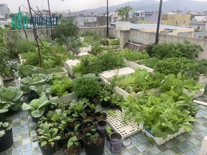 Bán Nhà 100m2 (5x20) Rẻ Nhất Hòa Minh-Liên Chiểu-Đà Nẵng